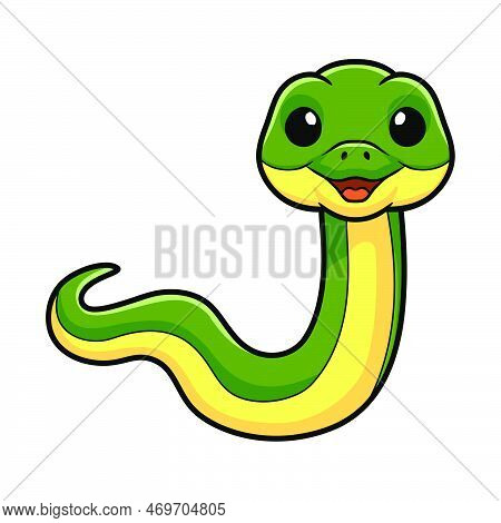 Vector Illustration Of Cute Easten Racer Snake Cartoon