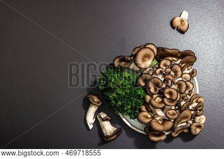 Delicious Organic Oyster Mushrooms With Fresh Parsley. Source Of Beta Glucan, Black Stone Background