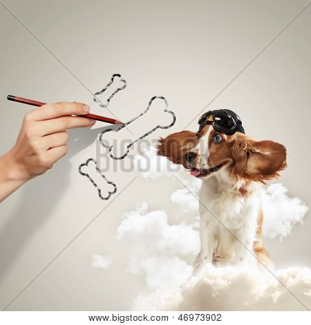 Imagen de perro spaniel gracioso en el casco de piloto