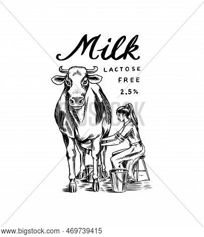 Milk Badge. Cow And Woman Farmer, Milkmaid Vintage Logo For Shop And T-shirts. Village Or Meadow. Ha