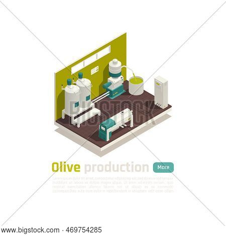 Olive Oil Production Facility Automated Line Isometric Element With Large Capacity Industrial Centri