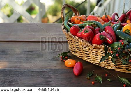 Many Different Fresh Chilli Peppers On Wooden Table, Space For Text
