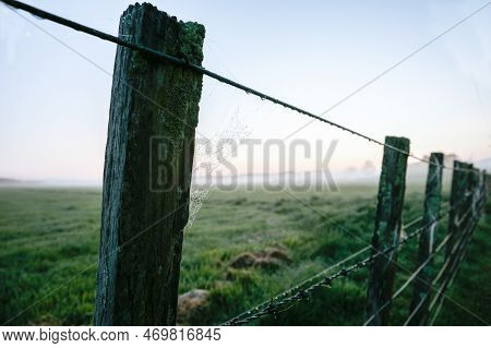 Blue Hour New Zealand Rural Sunrise Landscape Through Fence.