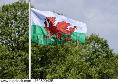 Wales Flag - Red Dragon Passant On White And Green - Bold And Proud Floating In The Wind Against Gre