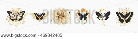 Hand Drawn Vector Abstract Graphic Illustrations Celestial Design Concept With Logo Magic Line Silho