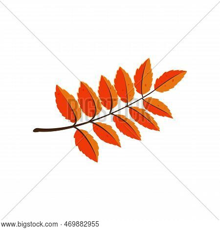 Branch With Leaves Sticker. Vector Illustration Of Cute Fall Item. Cartoon Leaves Isolated On White 