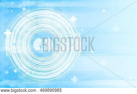 Medical Hud Screen With Nephros. Online Medicine And Health Concept