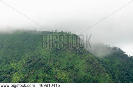 Fog On Top Mountain Tree At Ridge Landscape Overcast Sky In Rainy Season.