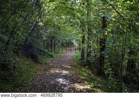 Path In The Park Of Lambro Valley, Brianza, Italy