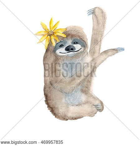 Cute Xenarthra Isolated On White Background. Watercolor Hand Drawn Illustration. Perfect For Kid Car