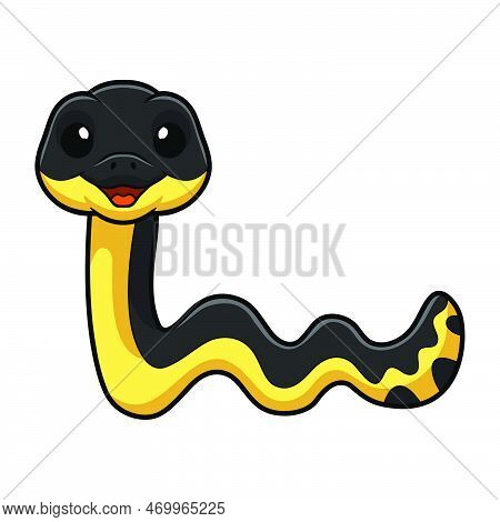 Vector Illustration Of Cute Yellow Bellied Sea Snake Cartoon
