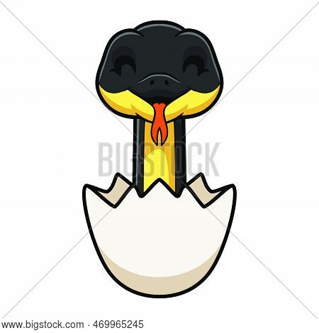 Vector Illustration Of Cute Yellow Bellied Sea Snake Cartoon Inside An Egg