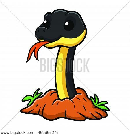 Vector Illustration Of Cute Yellow Bellied Sea Snake Cartoon Out From Hole