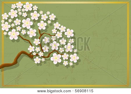 Cherry Blossom