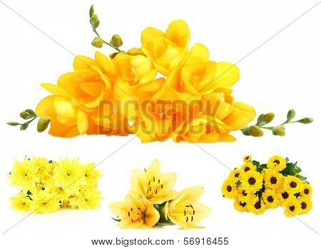 Flower bouquets isolated on white