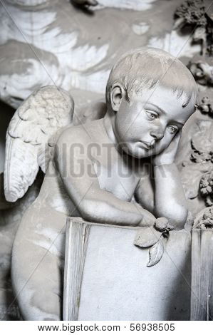 the cherub