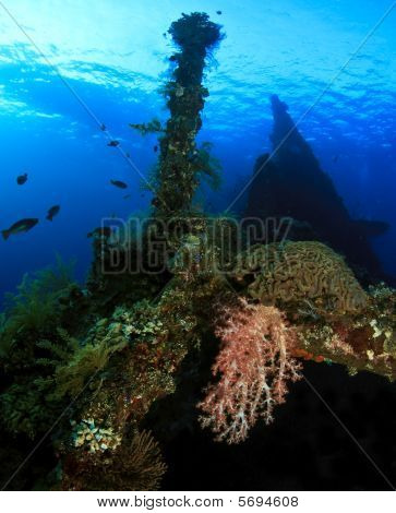 Liberty Wreck