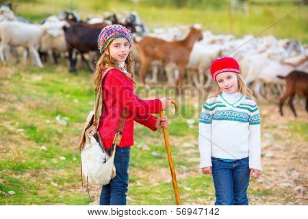 Kid girl shepherdess sisters happy with flock of sheep and wooden stick in Spain
