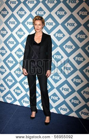 LOS ANGELES - JAN 13:  Connie Nielsen at the FOX TCA Winter 2014 Party at Langham Huntington Hotel on January 13, 2014 in Pasadena, CA