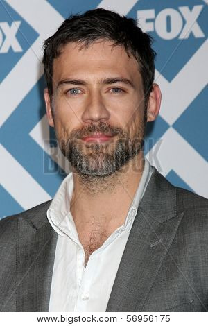 LOS ANGELES - JAN 13:  Adam Rayner at the FOX TCA Winter 2014 Party at Langham Huntington Hotel on January 13, 2014 in Pasadena, CA