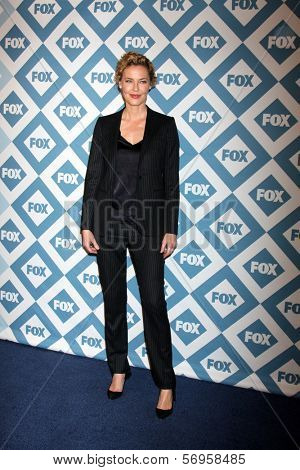 LOS ANGELES - JAN 13:  Connie Nielsen at the FOX TCA Winter 2014 Party at Langham Huntington Hotel on January 13, 2014 in Pasadena, CA