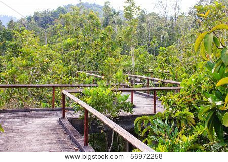 Bridge