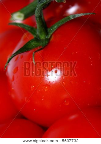 pomodori