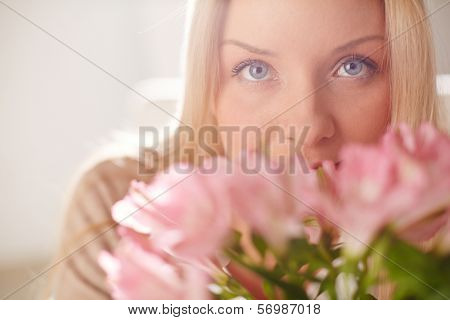 Portrait of lovely lady looking at camera while smelling pink flowers