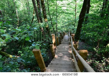 Wooden bridge in the forest. Sigulda.