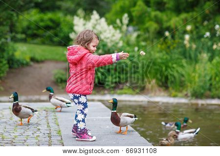 Adorable Little Girl Feeding Ducks At Summer