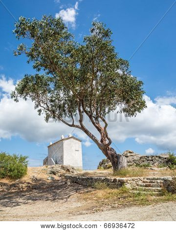 The House On The Hill At Baccialu In Corsica
