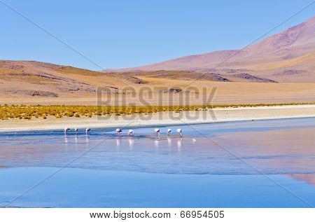 Bolivia, Antiplano - Canapa Lake