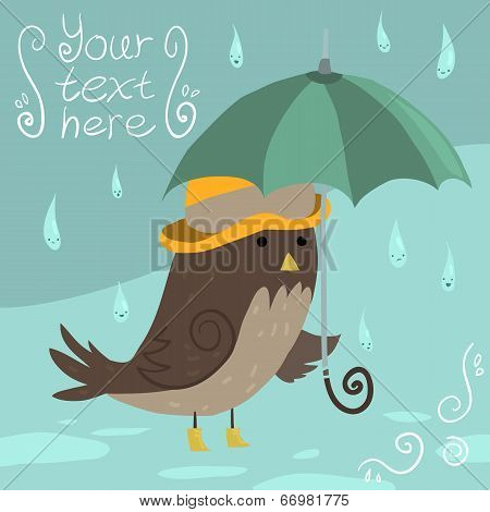 Mr Sparrow with Umbrella.