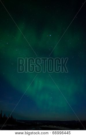 Green Ribbons