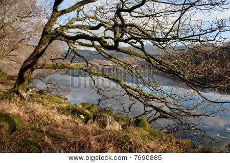 Llyn Dinas สะท้อน