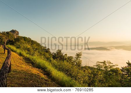 Fog On Mountain