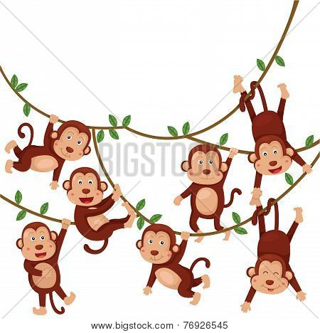 Illustration of monkeys funny cartoon