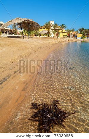 Beach At El Gouna. Egypt