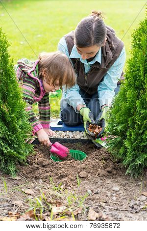 Mother And Daughter Planting Tulip Bulbs