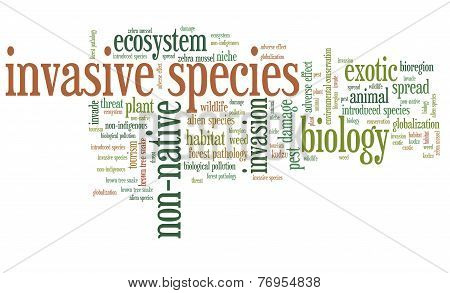 Invasive Species