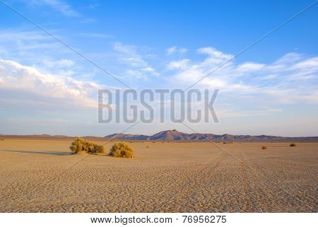 Dry Lakebed Mojave Valley