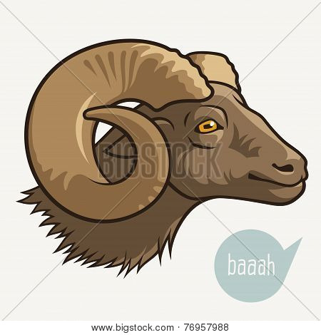 Head Of Ram
