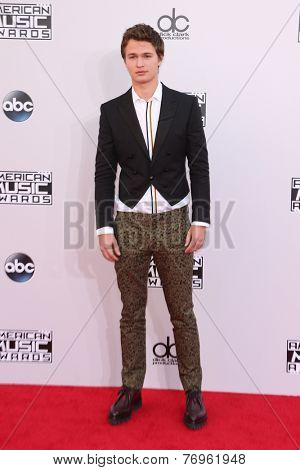 LOS ANGELES - NOV 23:  Ansel Elgort at the 2014 American Music Awards - Arrivals at the Nokia Theater on November 23, 2014 in Los Angeles, CA