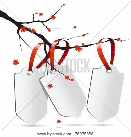 Sakura Branch With Three Labels