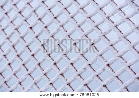 Frosted Net