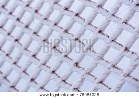 Frosted Net