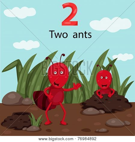 Illustrator of number two with ants