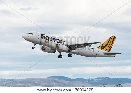 Tigerair Passenger Airliner Taking off