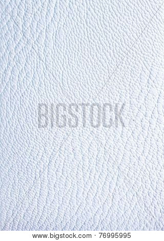 Leather Texture