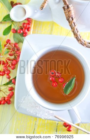 Fresh Tea